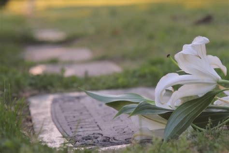 火葬場禁忌|遺體火化過程如何進行？火化至撿骨時間多久，12步驟。